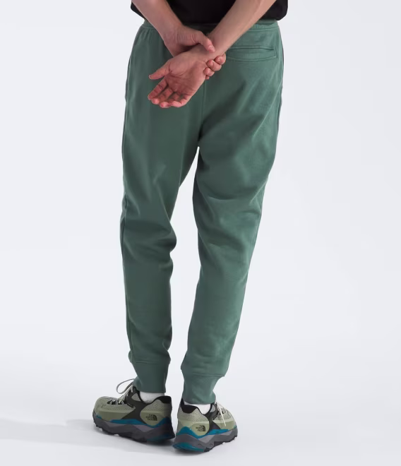 THE NORTH FACE Erkek Core Jogger