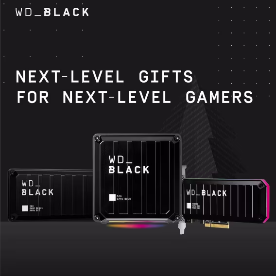 WD_BLACK 1 TB P10  Xbox için Oyun Sürücüsü