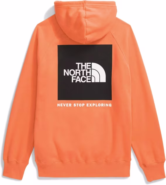 THE NORTH FACE Kadın Kutusu NSE Hoodie