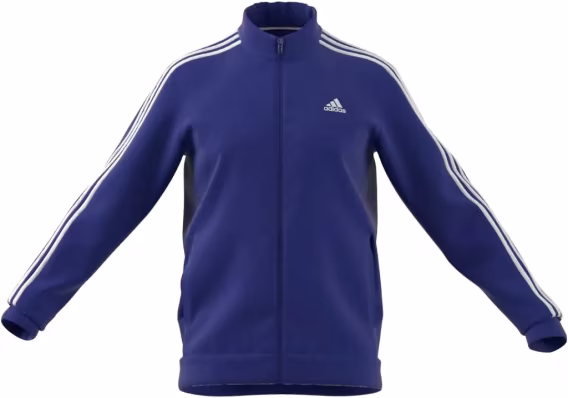 Adidas Erkek Essentials Çizgili Eşofman Üstü
