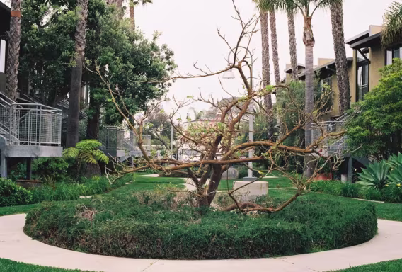 135 Fujifilm 200 Film Formatı Tip 35mm