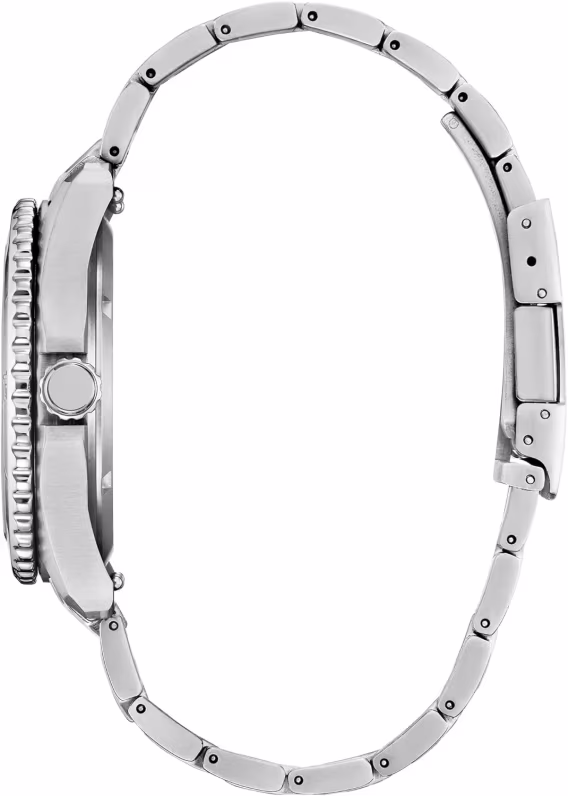 Citizen Erkek Gümüş Ton Paslanmaz Çelik Saat AW184009X