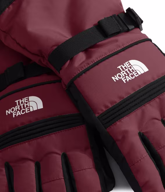 THE NORTH FACE Montana Yalıtımlı Kadın Kayak Eldiveni