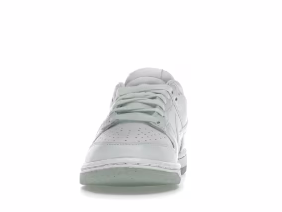 Nike Kadın Dunk Low Next Nature Sneaker