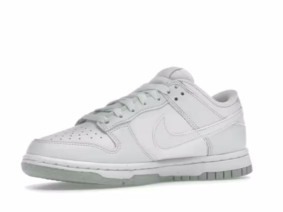 Nike Kadın Dunk Low Next Nature Sneaker