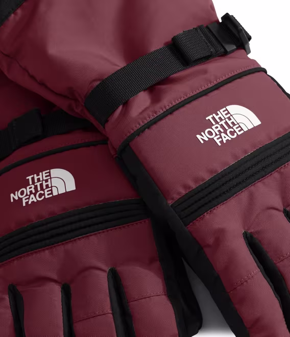 THE NORTH FACE Montana Yalıtımlı Kadın Kayak Eldiveni