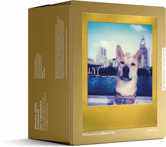 Polaroid Go Renkli Film  6017