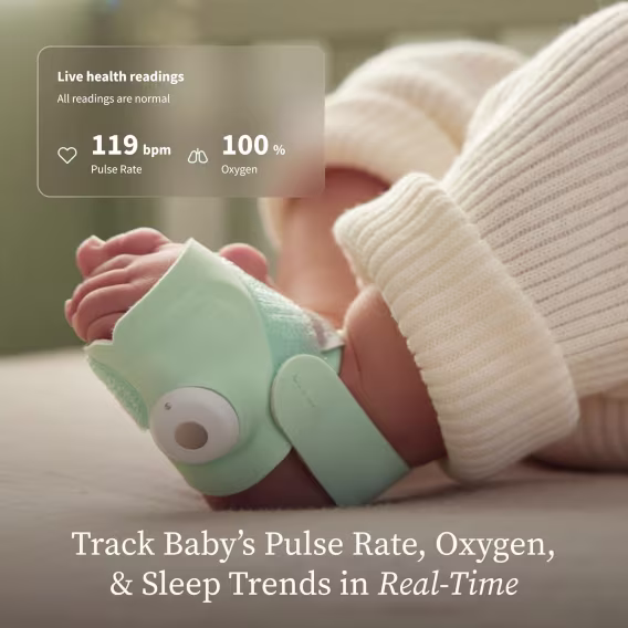 Owlet Dream Duo Akıllı Bebek Telsizi