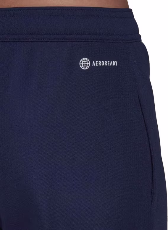 Adidas Kadın Entrada 22 Antrenman Pantolonu