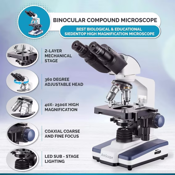 AmScope B120B Siedentopf Binoküler Bileşik Mikroskop