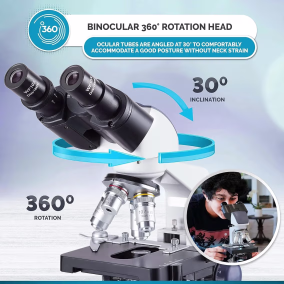 AmScope B120B Siedentopf Binoküler Bileşik Mikroskop