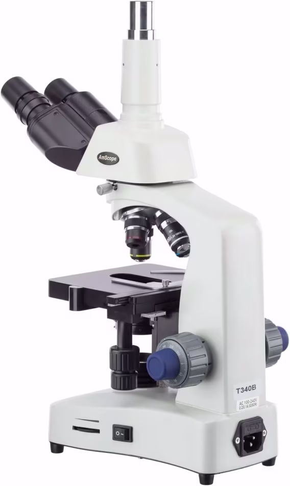 AmScope T340BDK-LED Siedentopf Trinoküler Bileşik Mikroskop