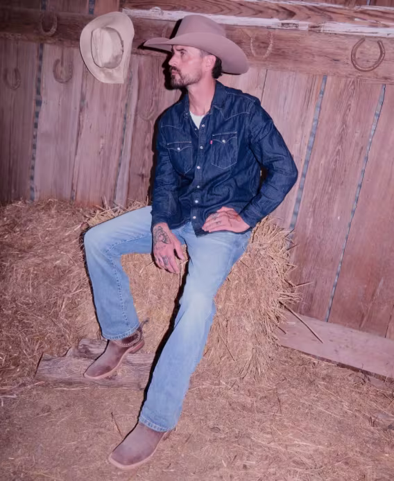 Levi's® Erkek Klasik Standart Kesim Western Gömlek