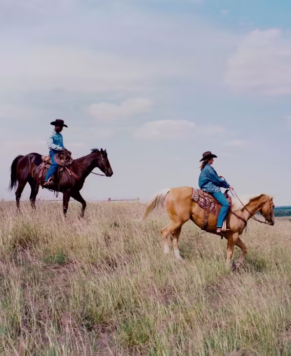 Levi's® Erkek Klasik Standart Kesim Western Gömlek