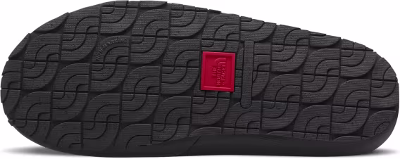 THE NORTH FACE Erkek Cedar Trail Polar