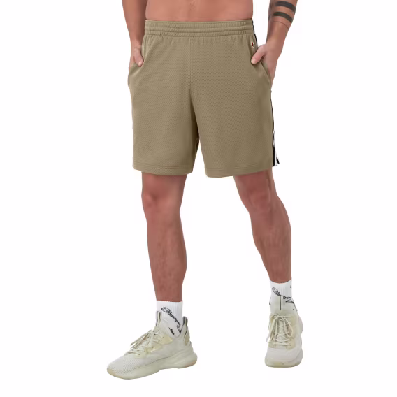 champion-erkek-file-sort-v-630427