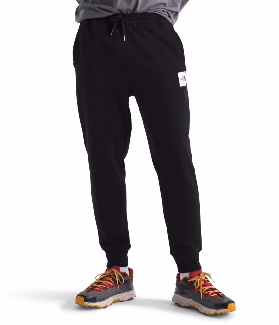 the-north-face-erkek-core-jogger-v-928245
