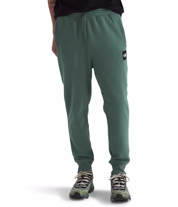 the-north-face-erkek-core-jogger-v-928243
