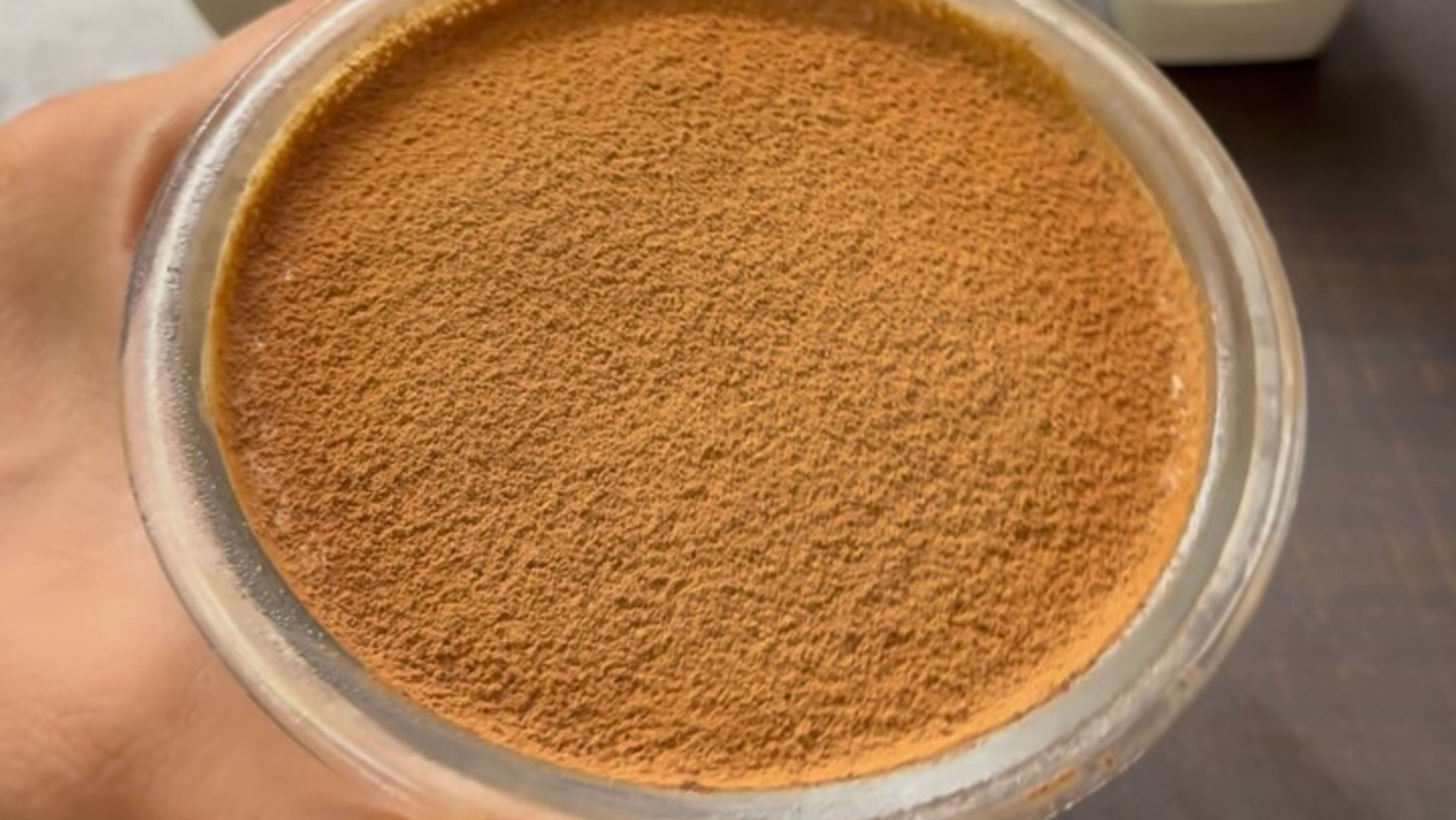 High-Protein Paneer Chocolate Mousse