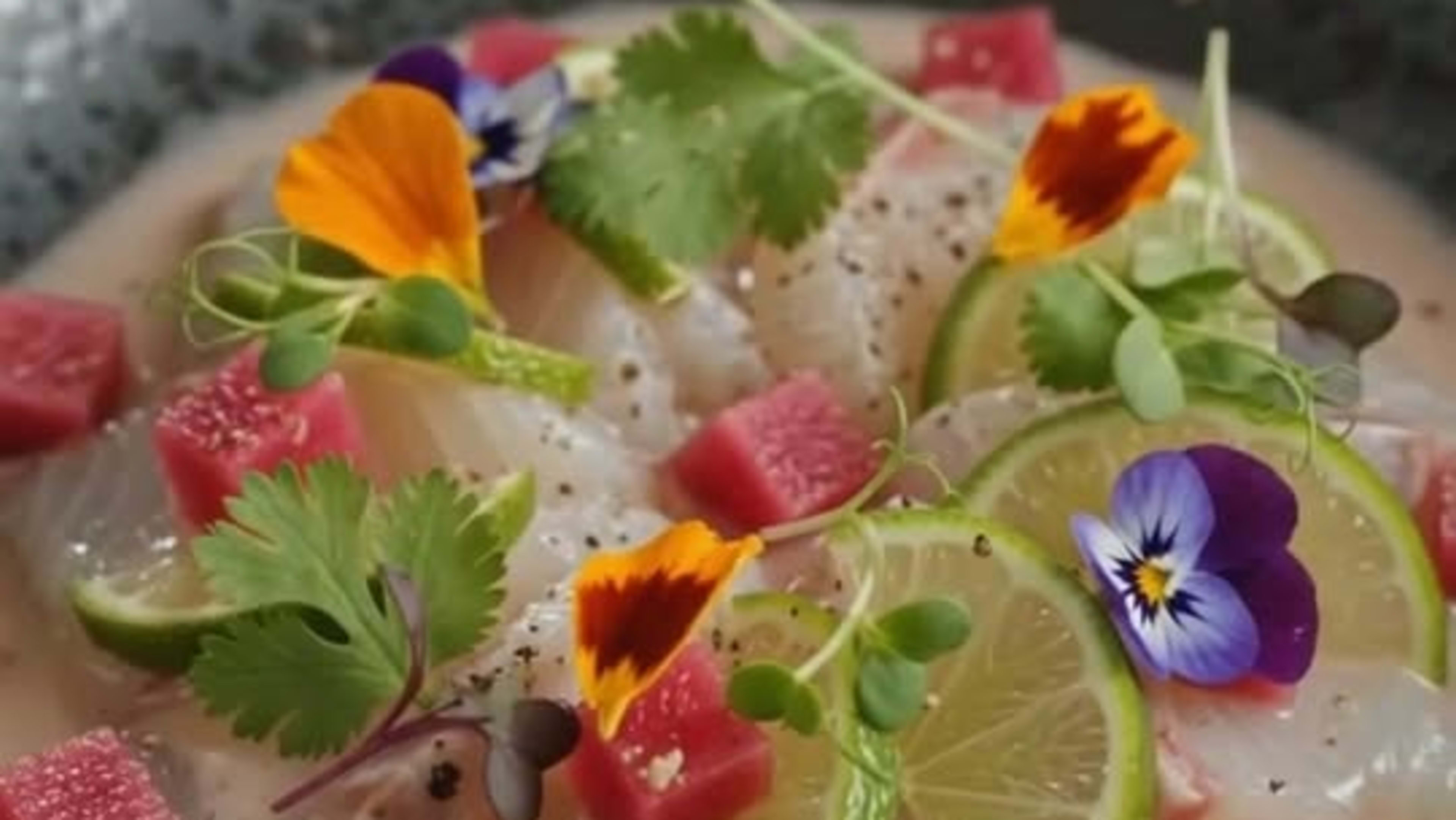 Sea Bass Ceviche with Hibiscus, Tiger Milk Coconut & Red Radish