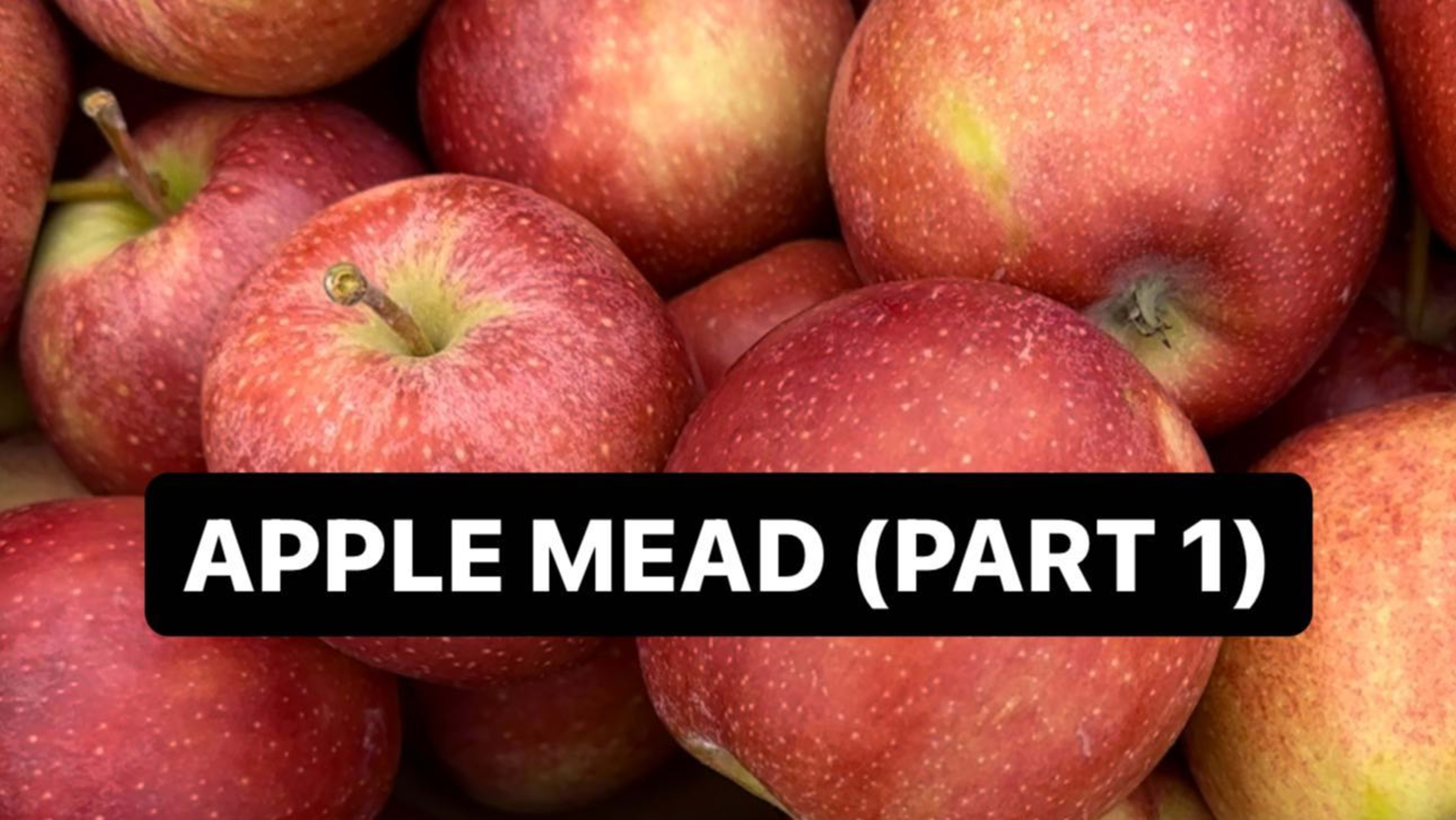 Apple Spice Mead