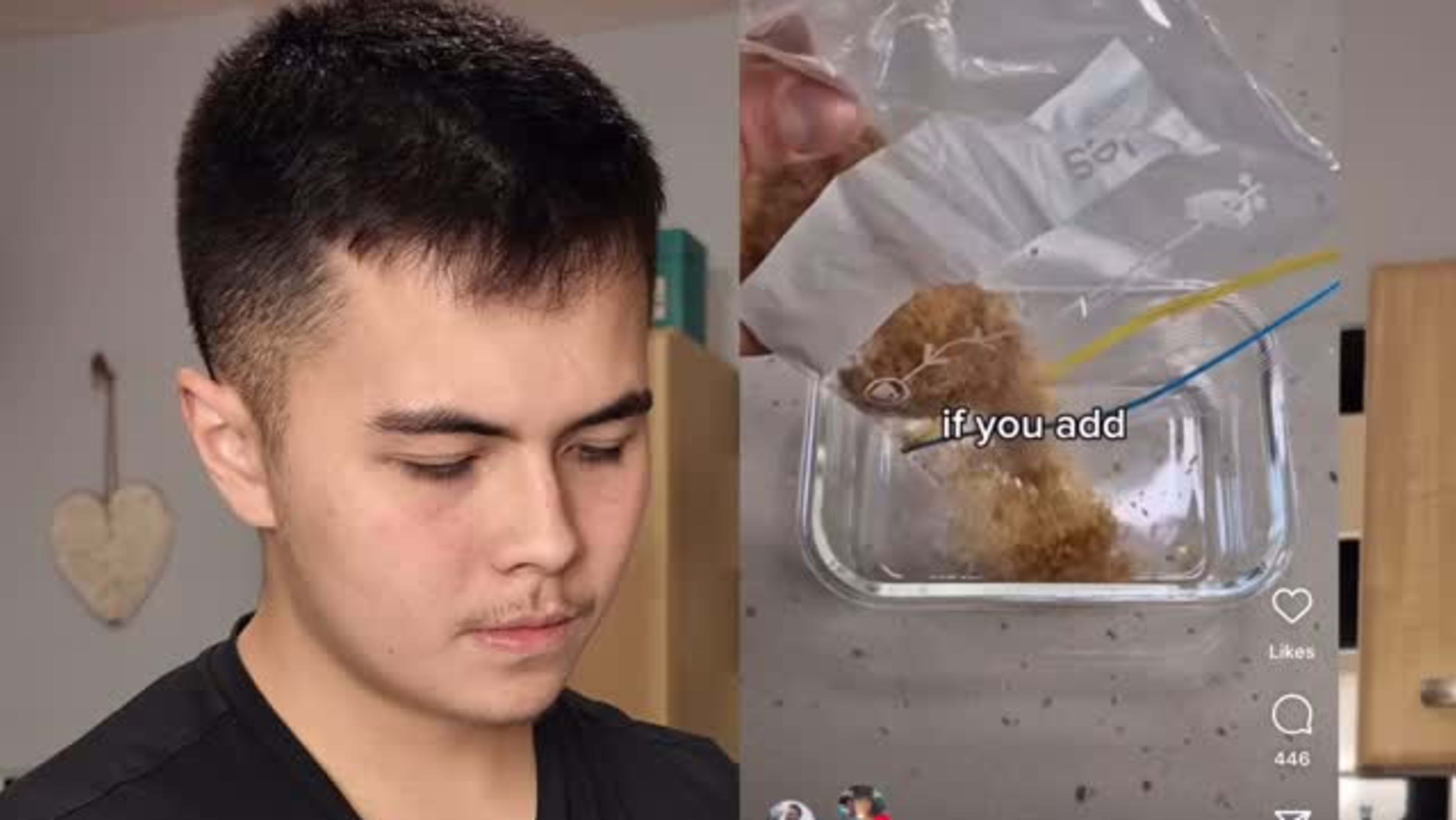 High Protein Tiramisu