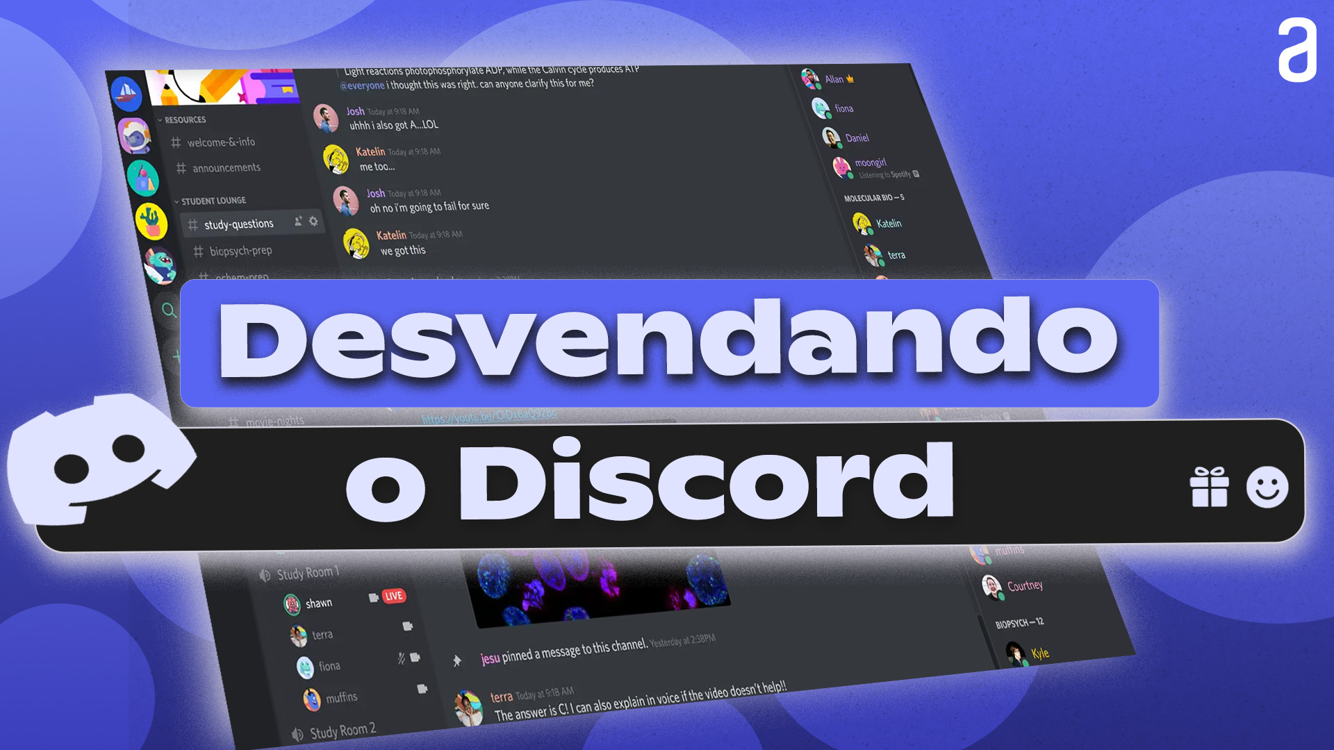 Desvendando o discord