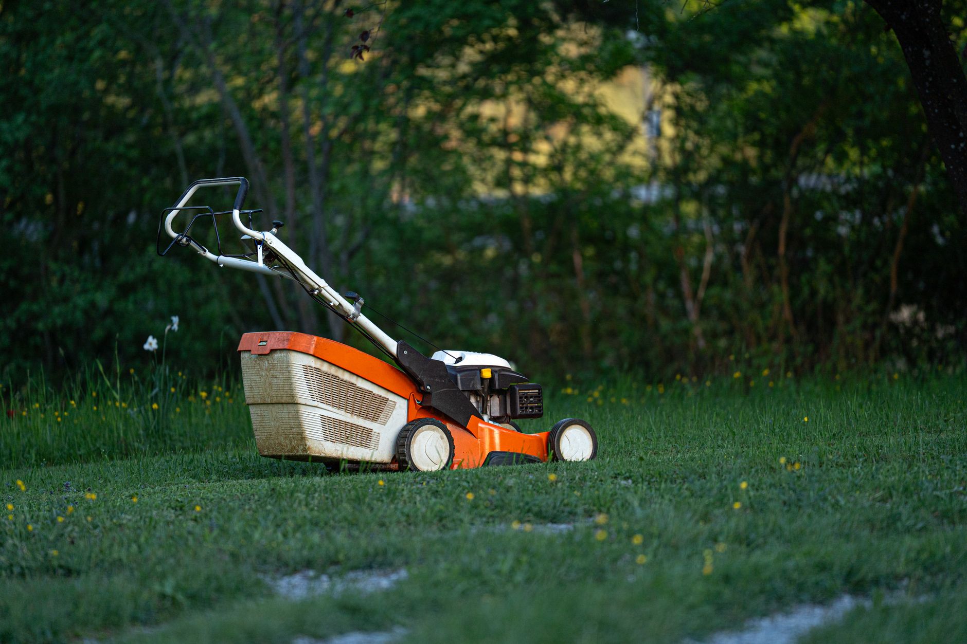 Noleggio Tosaerba Ryobi RLM18X40H