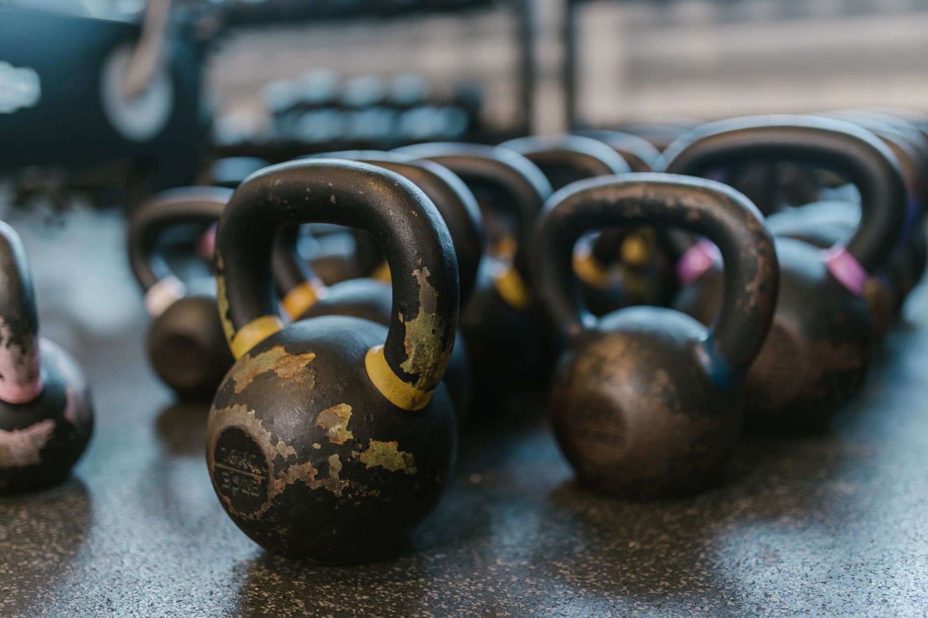 Noleggio Kettlebell Set 8-24kg (6 pezzi)