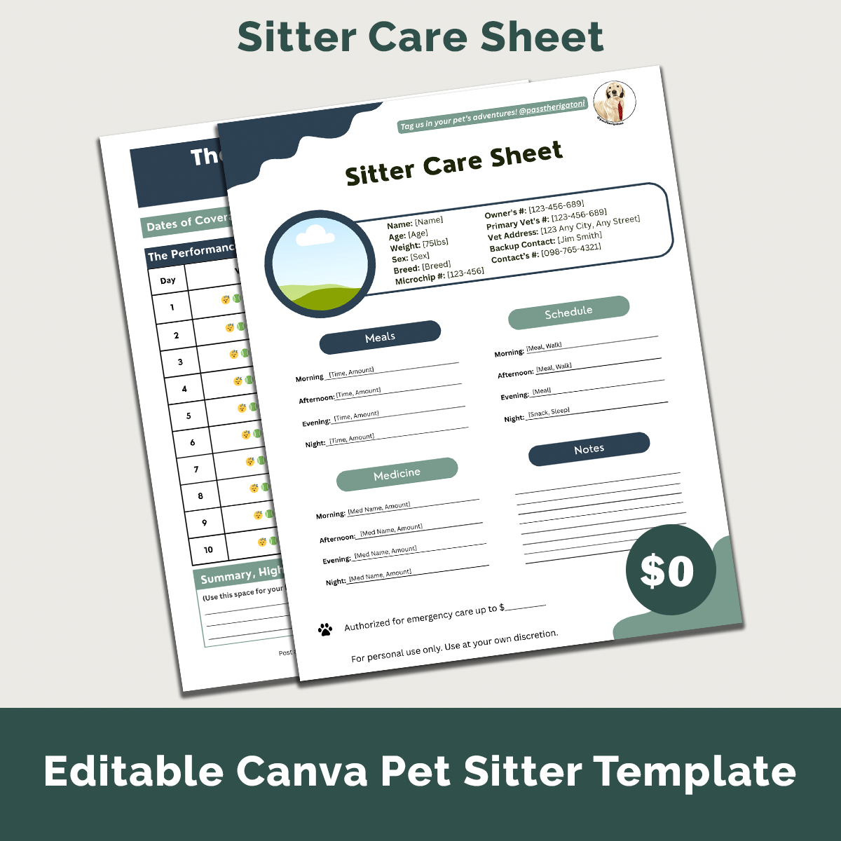 Sitter Care Sheet preview