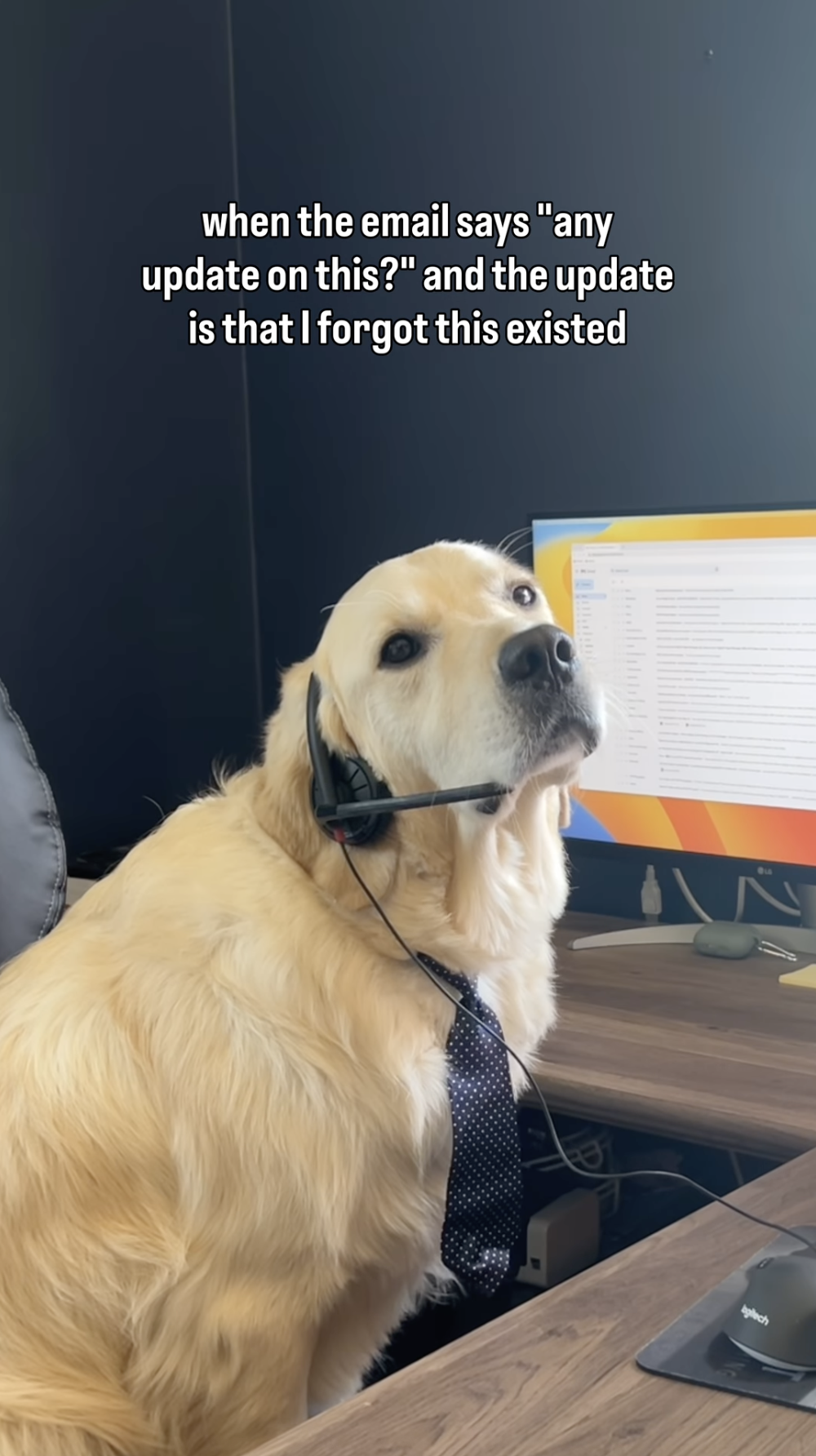 When the email says any update on this - top reel