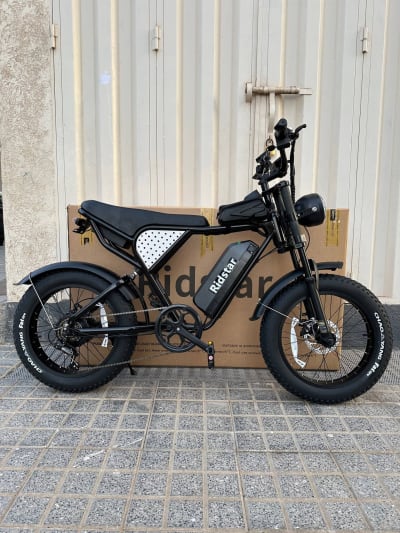 Vélo Électrique Harley RidStar Q20 Mini