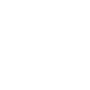 custom-icon