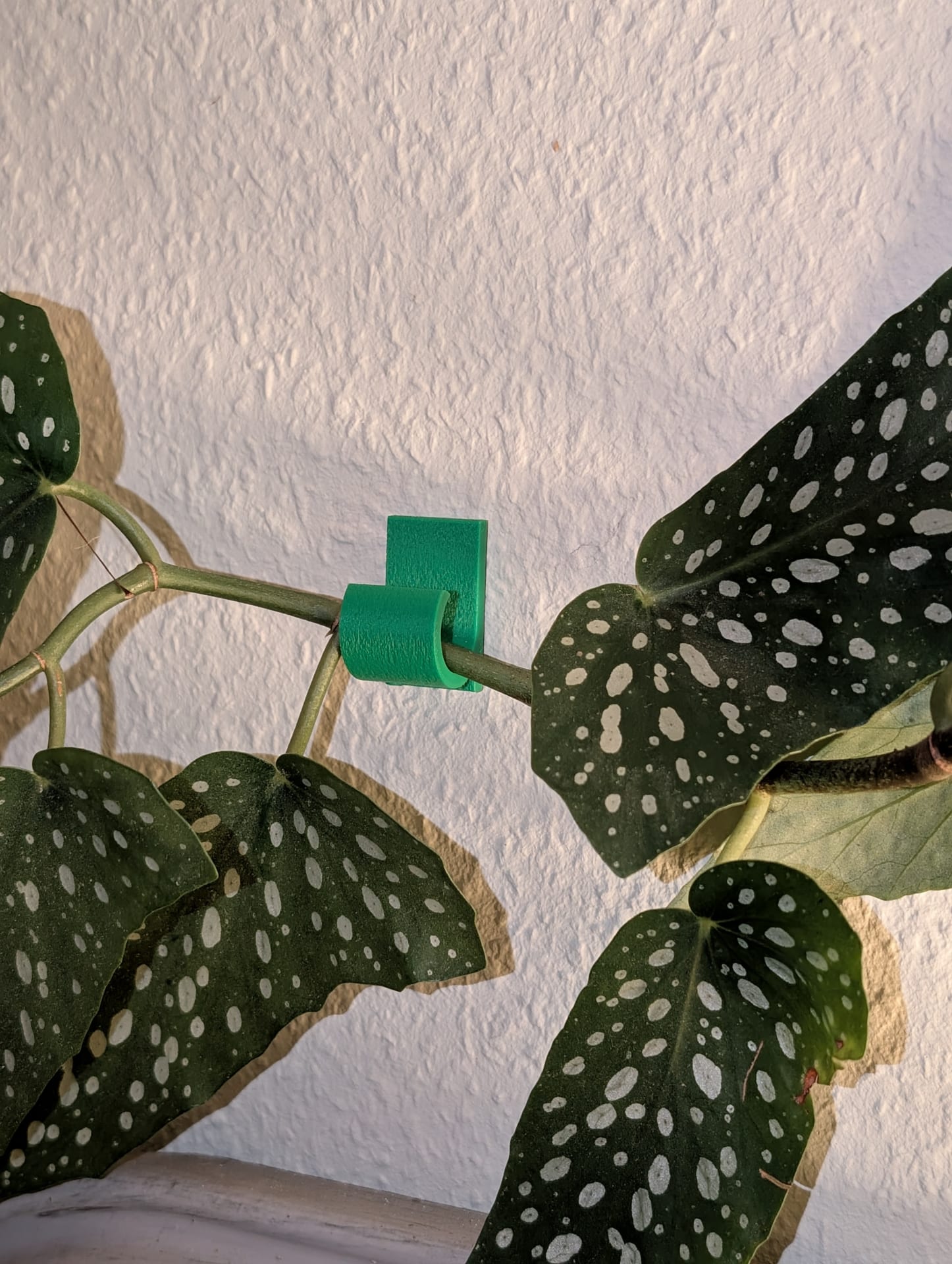 Miniature 6
