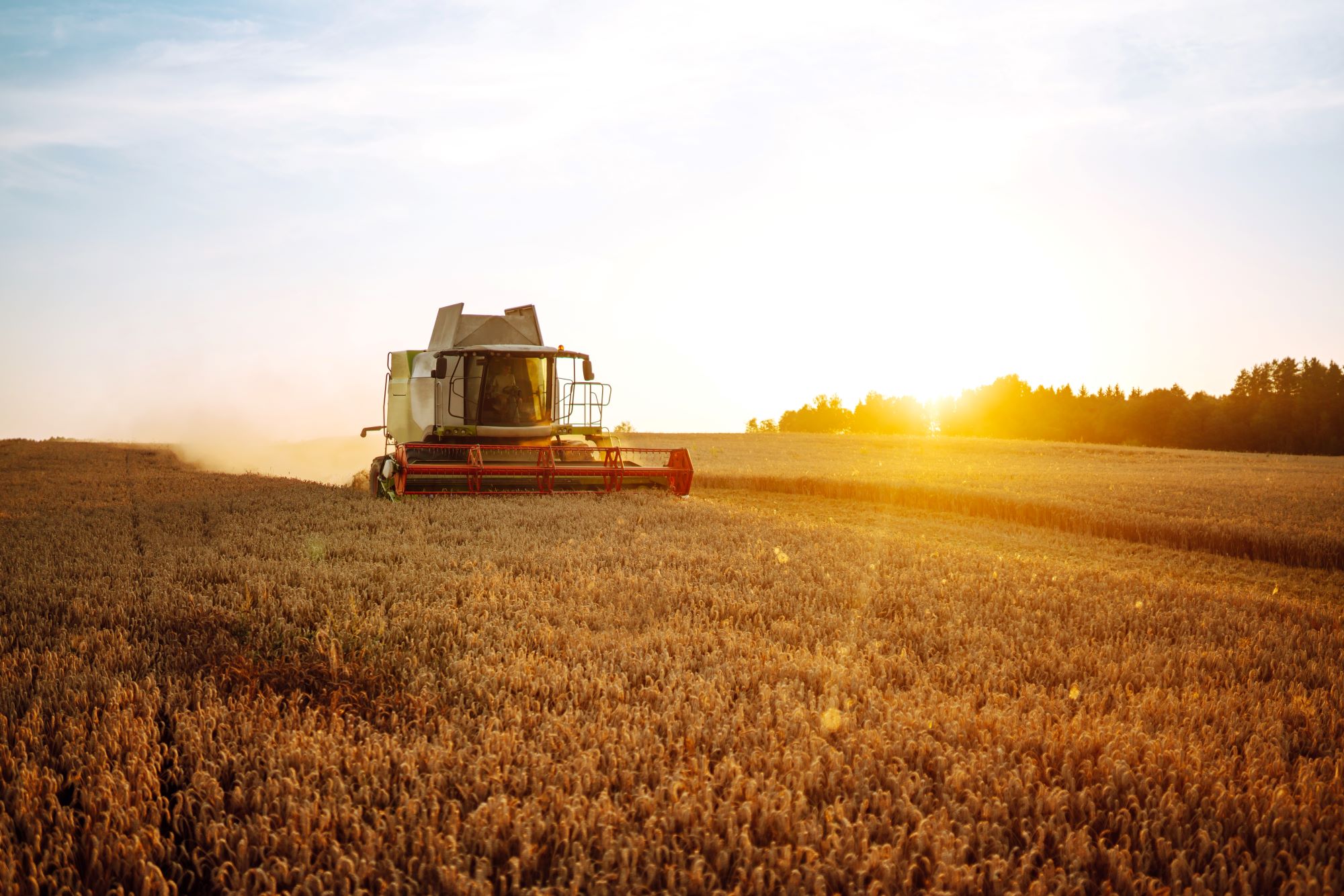 Tax Loss Harvesting
