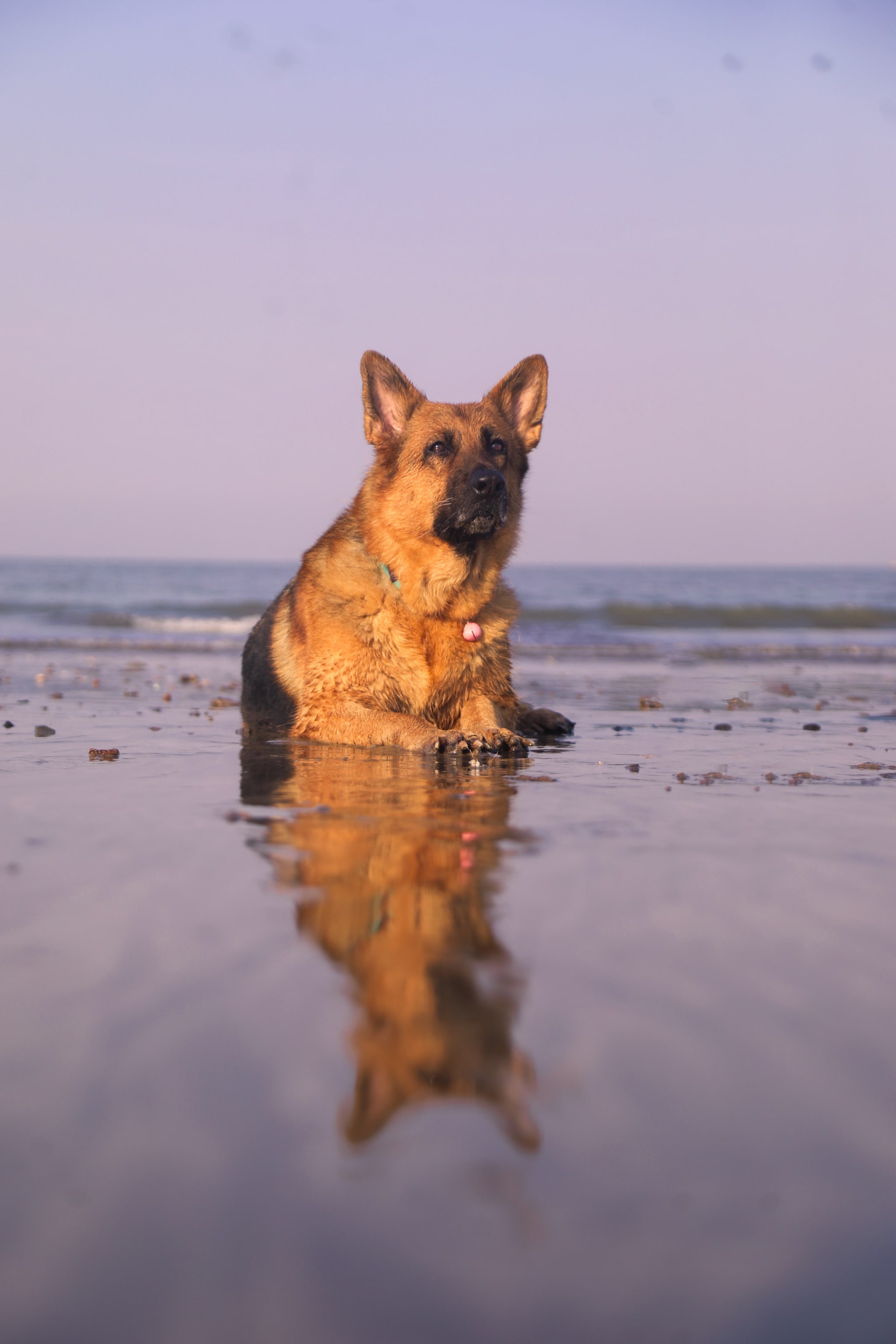 Soulful Gaze