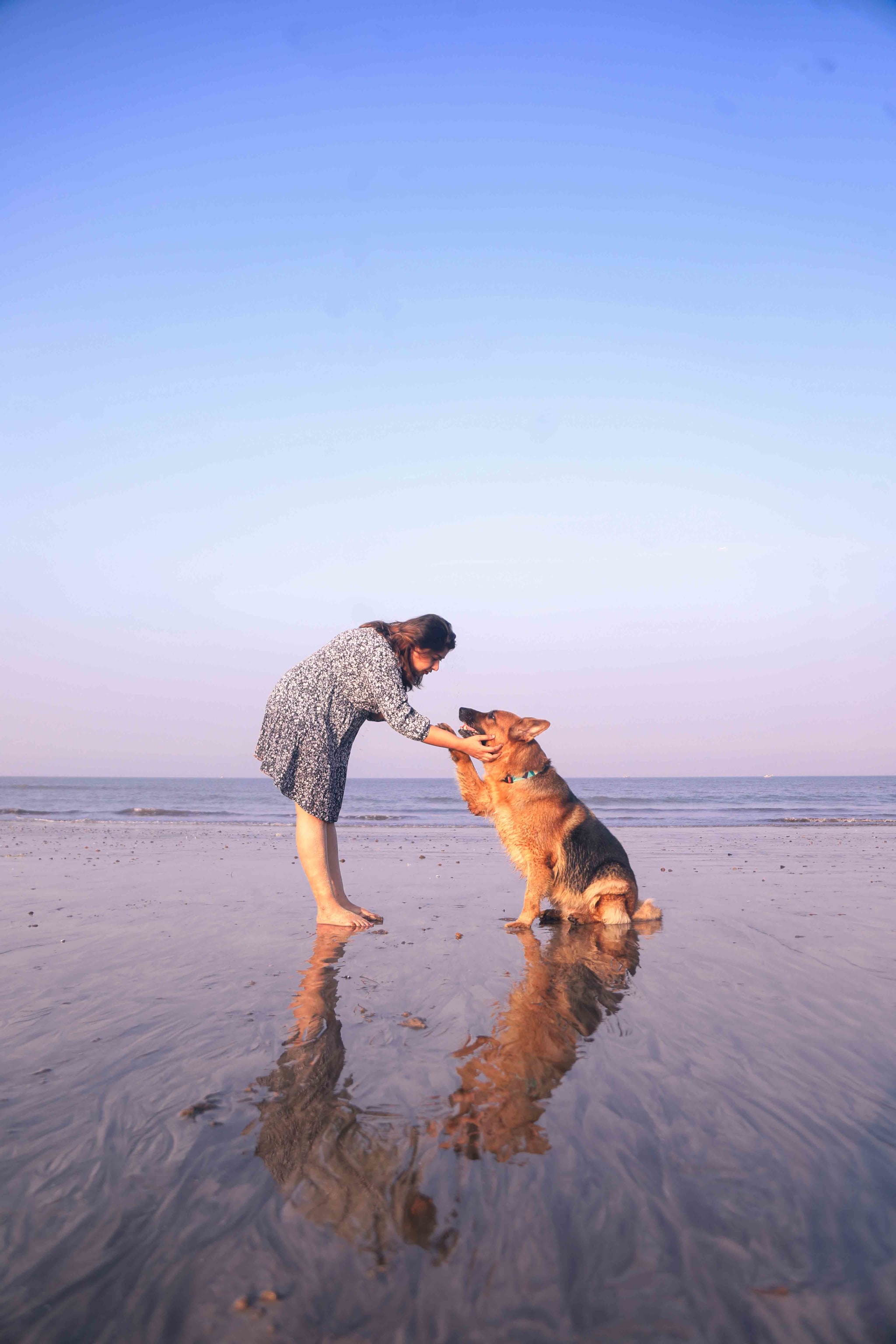 Getting The Pawsome Shot