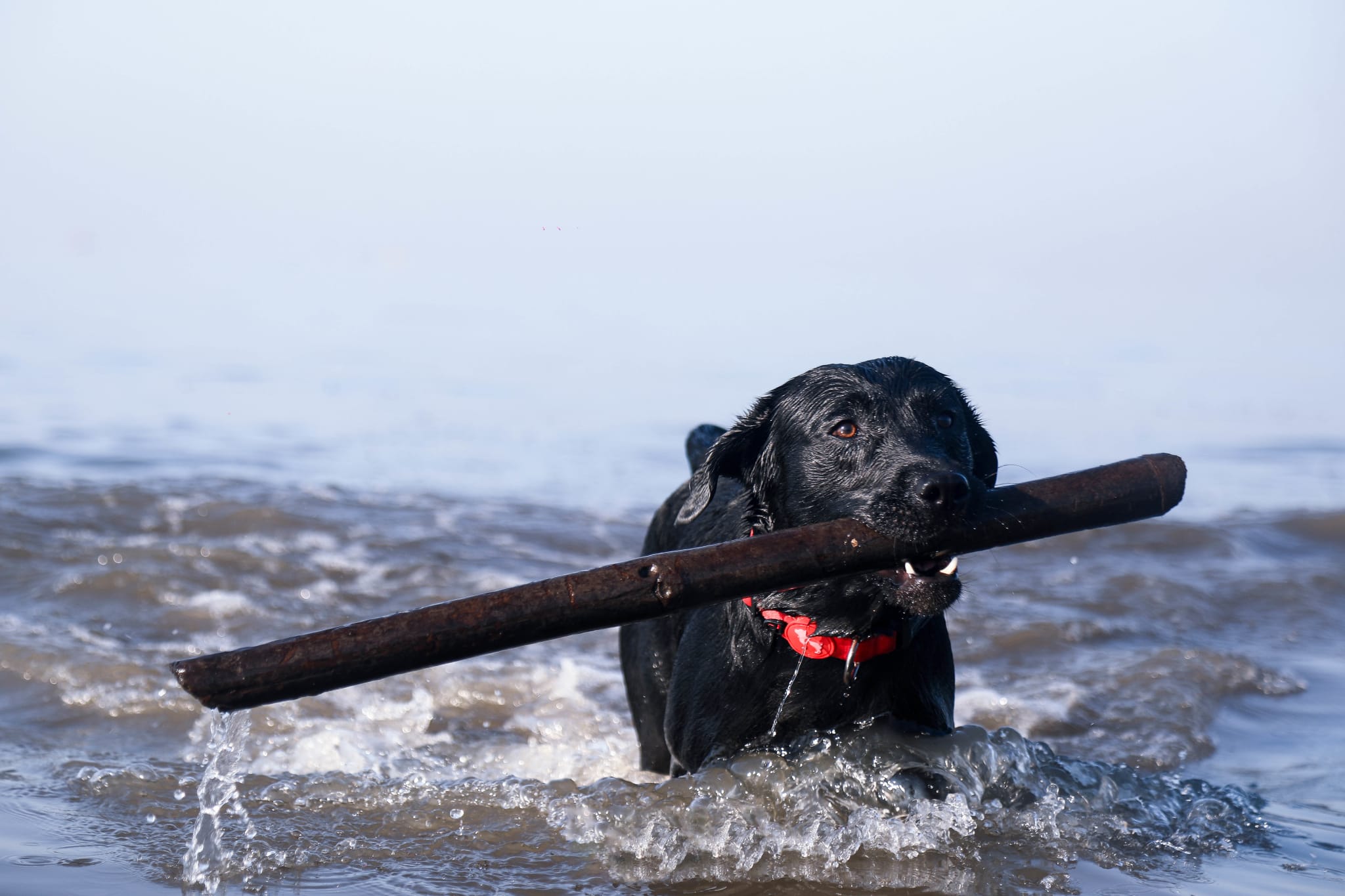 Beach play time