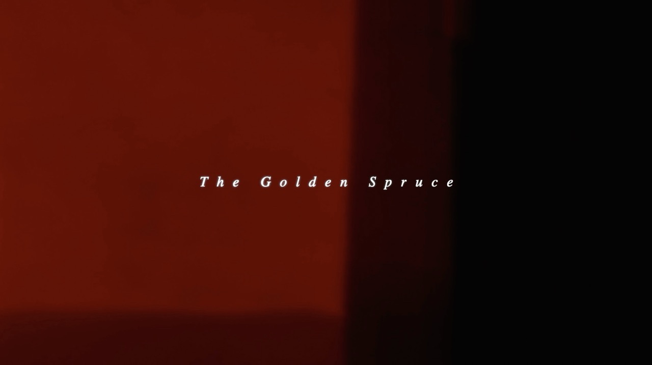 Golden Spruce