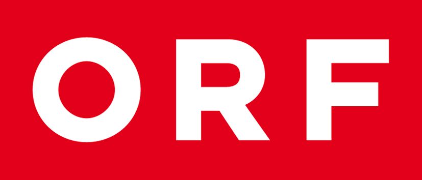  partner image