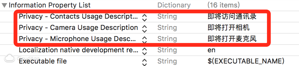 infoPlist