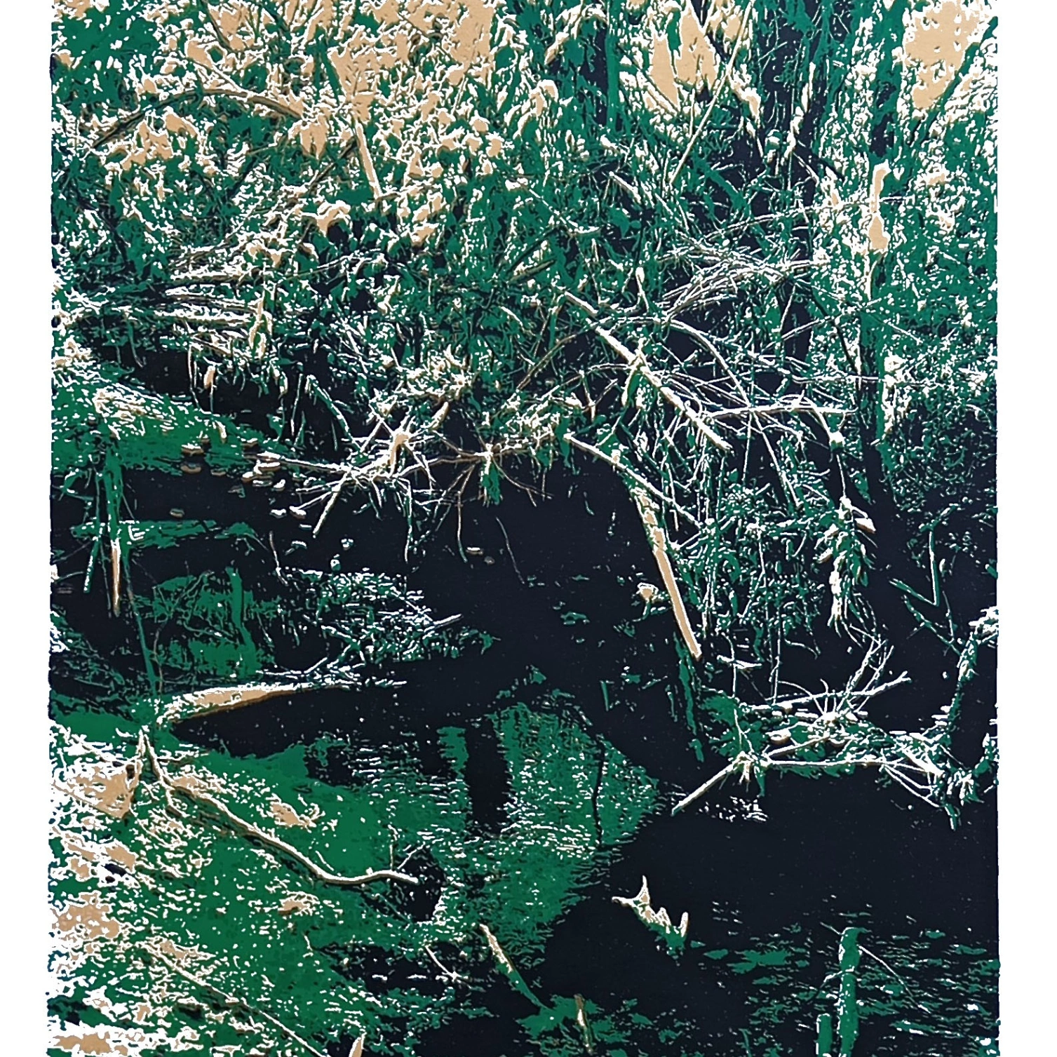 Tienda virtual Tienda virtual