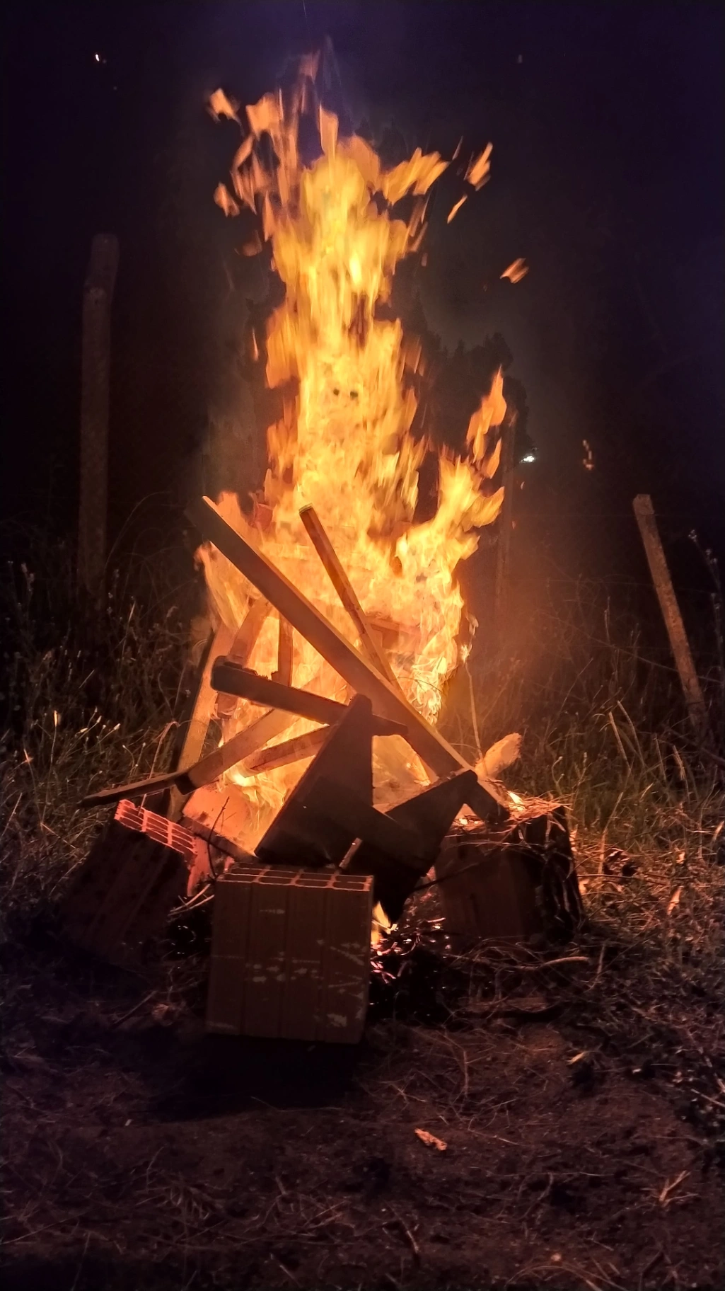 Entre a la casa y estaba llena de arañas Entre a la casa y estaba llena de arañas