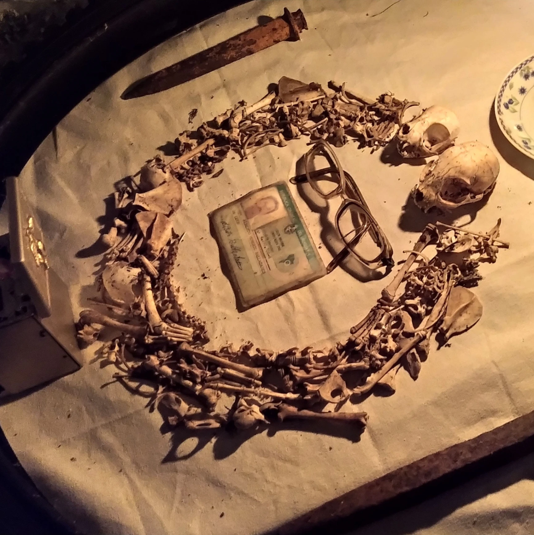 Entre a la casa y estaba llena de arañas Entre a la casa y estaba llena de arañas