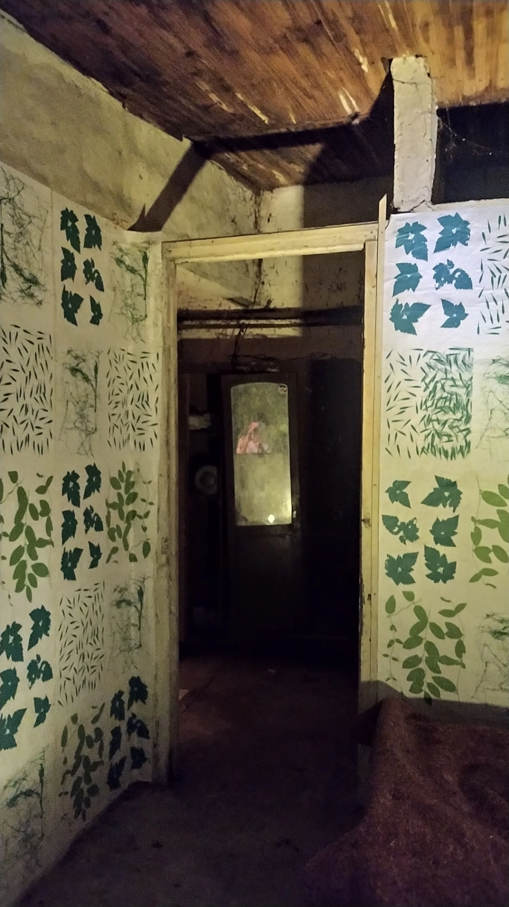 Entre a la casa y estaba llena de arañas Entre a la casa y estaba llena de arañas