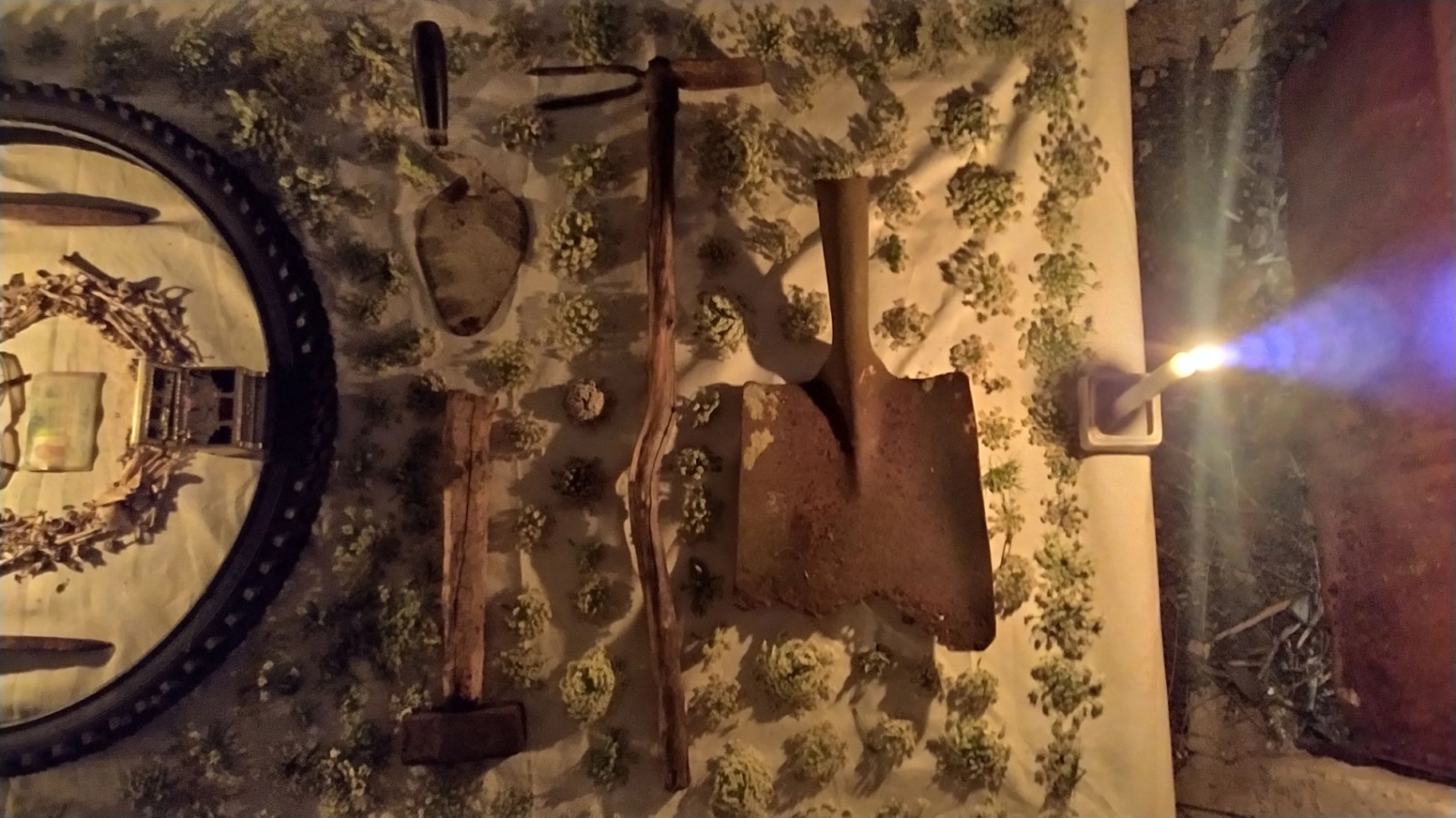 Entre a la casa y estaba llena de arañas Entre a la casa y estaba llena de arañas