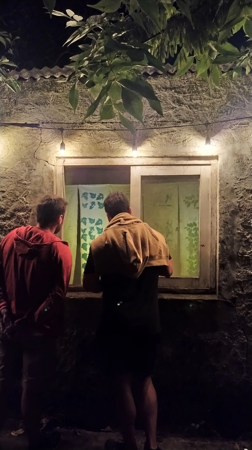 Entre a la casa y estaba llena de arañas Entre a la casa y estaba llena de arañas