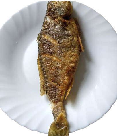 Croaker Fish