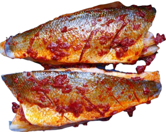 Croaker Fish