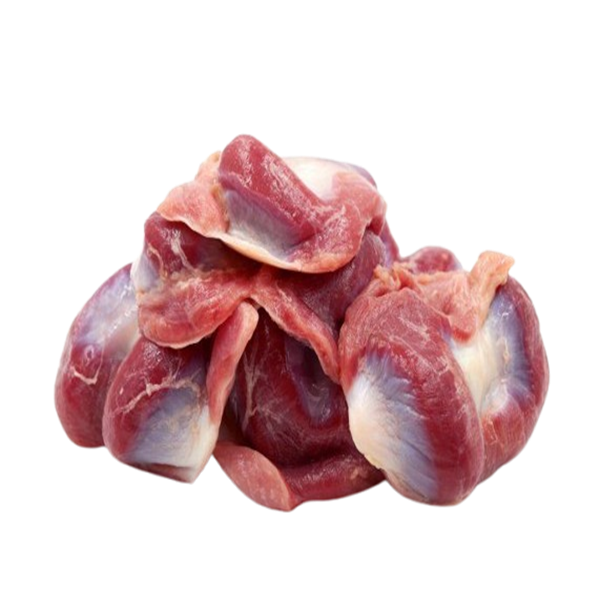 Chicken Gizzard